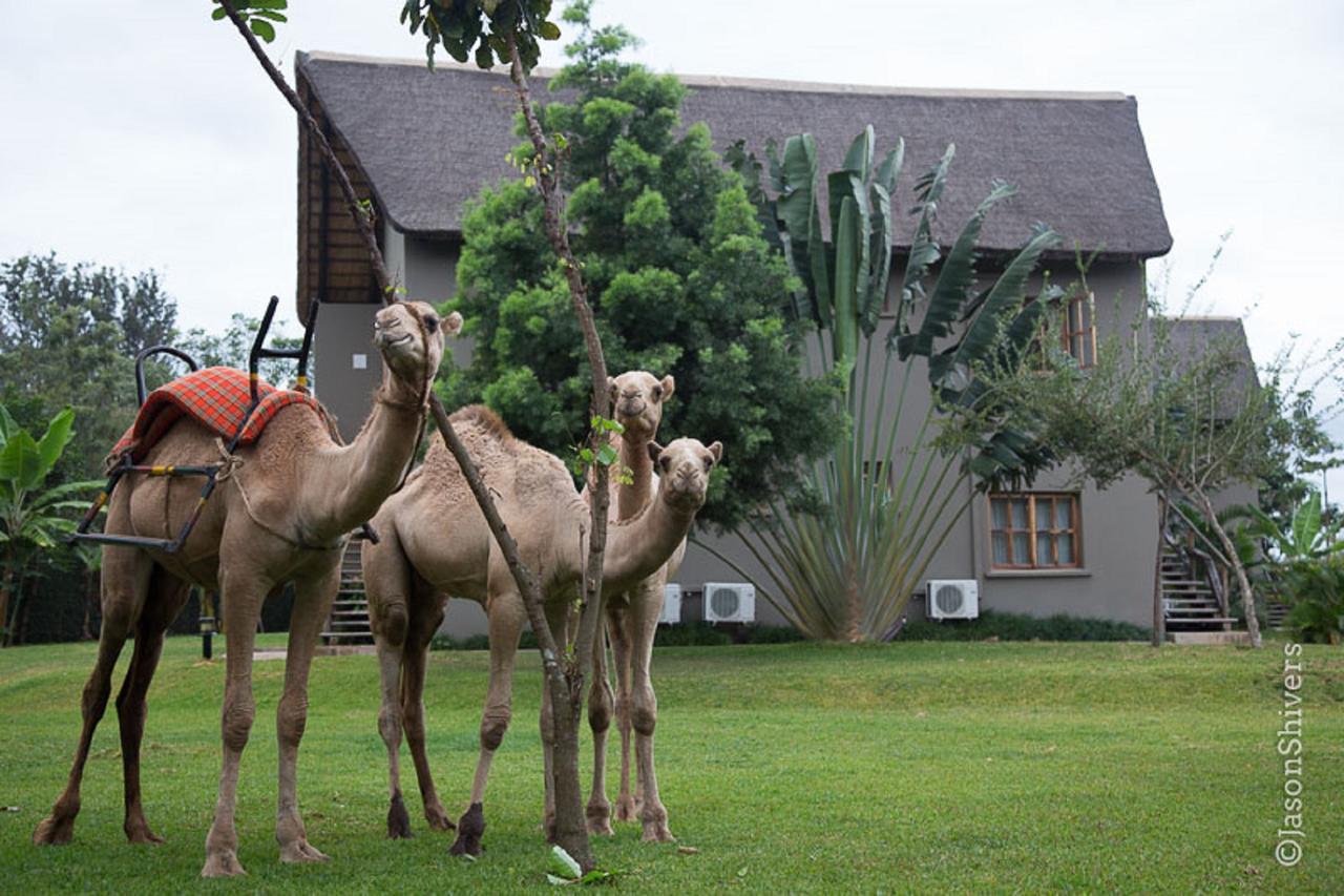 Weru Weru River Lodge Exterior foto